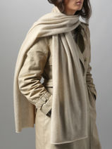 Scarf Cashmere Vercors Etrier Beige vercors EVER427U-vue-porte